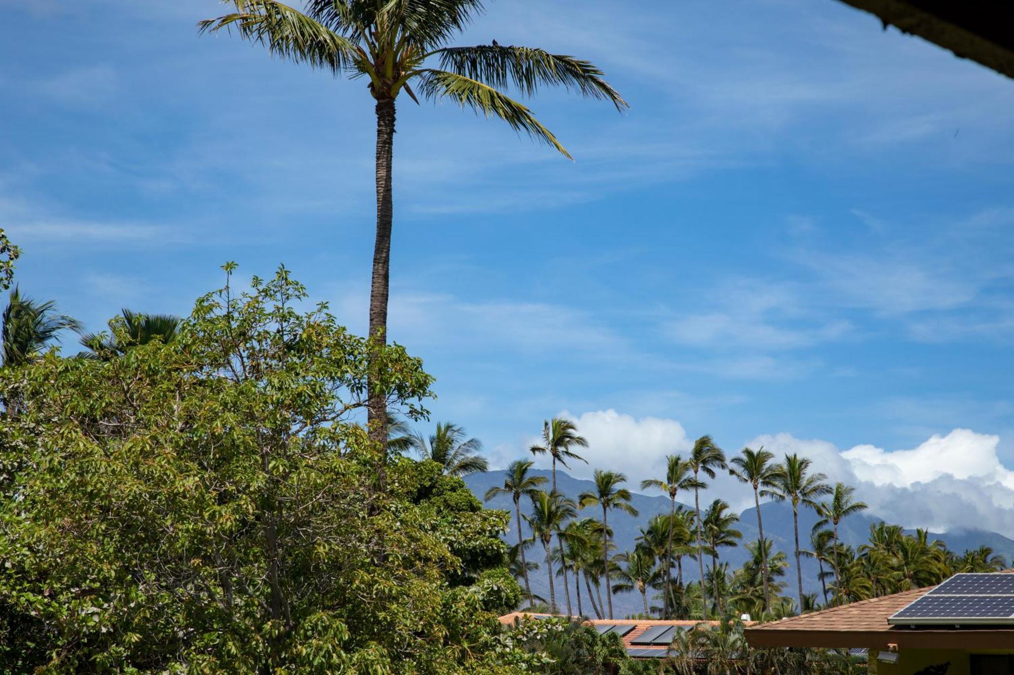 Beautiful 2Br 2Ba With Panoramic Ocean Views, Wifi, Free Parking! คิเฮอิ ภายนอก รูปภาพ
